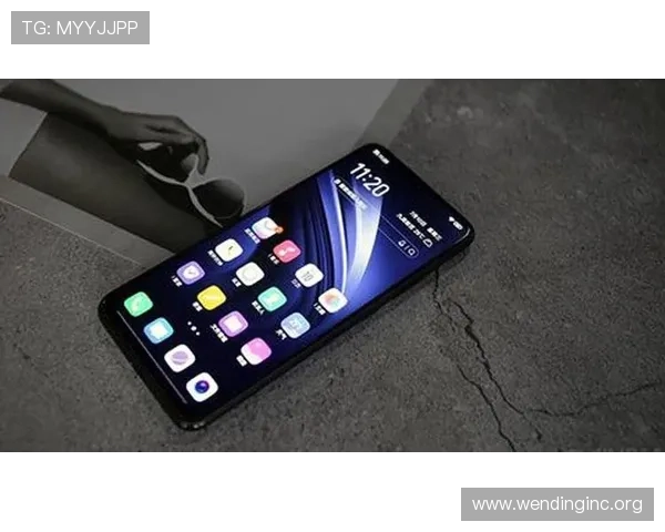 问鼎手机版会员登录入口在哪里以及如何快速找到登录页面的详细指南