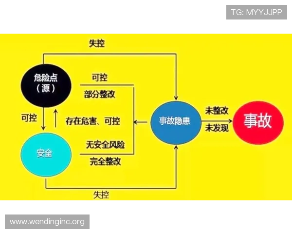 问鼎软件下载安全性分析，如何避免下载过程中遇到的风险与陷阱